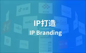 IP打造